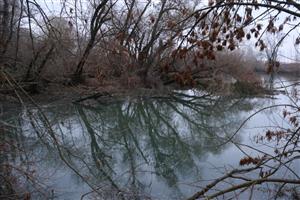 Pohľad na časť TML Kľúčovecké rameno v čase zimnej záplavy. Foto: 26.11.2025, J.Lengyel.