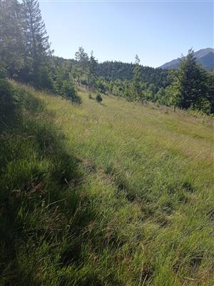 pohľad na TML zhora