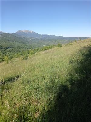 pohľad na TML z druhej strany