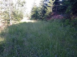 pohľad na pôvodný polygón pred úpravou hraníc