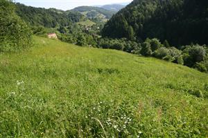 záber na časť biotopu, smer SSV