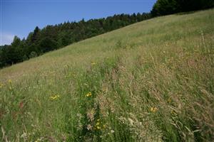 záber na západnú lúku, smer SZ