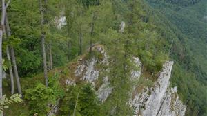 pohľad na časť TML - bralo/biotop druhu Pulsatilla subslavica