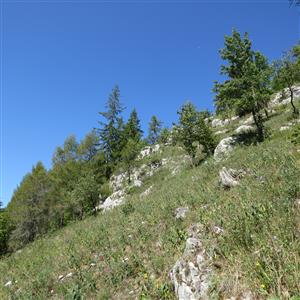 TML_ParnApol_011 Vernár