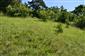 Suchomilné travinnobylinné a krovinové porasty na vápnitom podloží (*dôležité stanovištia Orchideaceae) (7.6.2015)