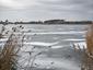 hlaholka severská (17.1.2026)