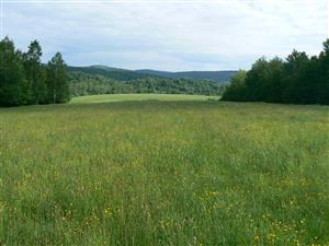 Pohled na cílový biotop (louku) a okolní krajinu směrem na jih od zadaných souřadnic