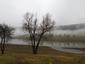 chochlačka vrkočatá (14.2.2026)