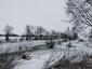 hlaholka severská (16.1.2026)