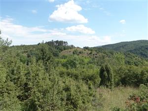 Pohľad na Kyseľovú z lokality Dolinka