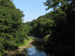 Vlára nad H. Srním pri lanovej lávke