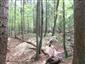 kunka žltobruchá (13.6.2013)