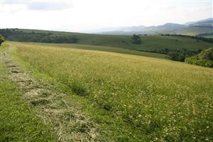záber na biotop v smere SZ