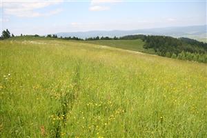 záber na východnú časť biotopu, smer SV