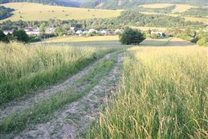 záber na časť biotopu v smere na V