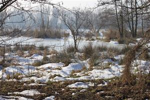 TML Zempl. Šírava 5.2.2014