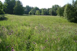 záber na časť biotopu (Lk6), smer SZ