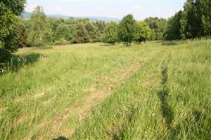 záber na biotop, smer V