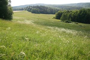 záber na biotop, smer Z
