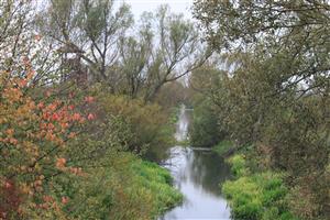 TML_Čierna voda  7.10.2014