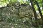 Silikátové skalné steny a svahy so štrbinovou vegetáciou (24.7.2014)