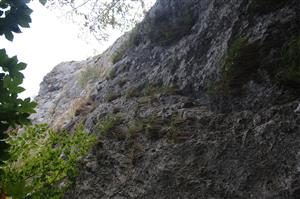 TML_8210_červená skala_Poráčska dolina_02