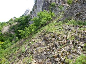 pohľad na lokalitu 2