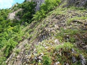 pohľad na lokalitu 3