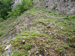 pohľad na lokalitu 4