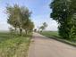 brhlík lesný (obyčajný) (28.4.2026)
