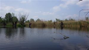 TML alúvium Žitavy