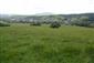 Nížinné a podhorské kosné lúky (15.6.2014)