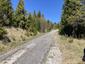 Orešnica perlavá (3.5.2026)