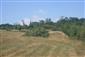 Pohľad na časť plochy s výskytom M. arion s odstránenými krovinami pri obci Buzica