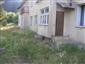 jašterica múrová (27.6.2014)