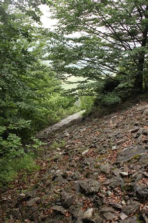 pohľad na hornú časť sute