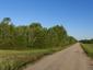 Mlynárka dlhochvostá (14.5.2026)