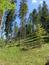 Mlynárka dlhochvostá (24.5.2026)