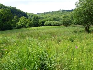 pohľad na lokalitu zdola