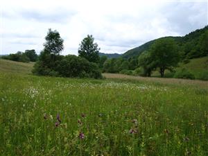 pohľad na lokalitu 2