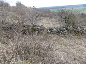 lokalita - pohľad na val vedľa cestičky
