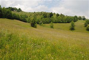 pohľad na monitorovanú lokalitu