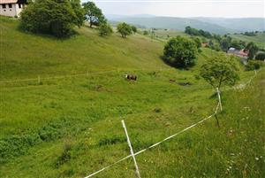 vlhká časť TML, vyhradená pre pastvu