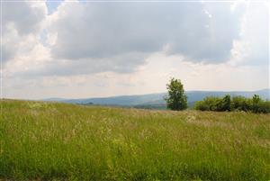 celkový pohľad na monitorovanú lokalitu