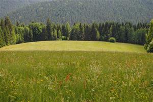 pohľad na monitorovanú TML
