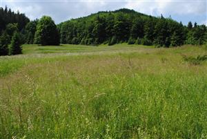 severovýchodná časť monitorovanej TML