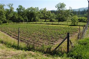 susediace obrábané políčko