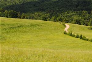 stred monitorovanej TML