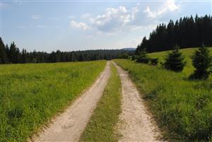 stredom TML vedie poľná cesta