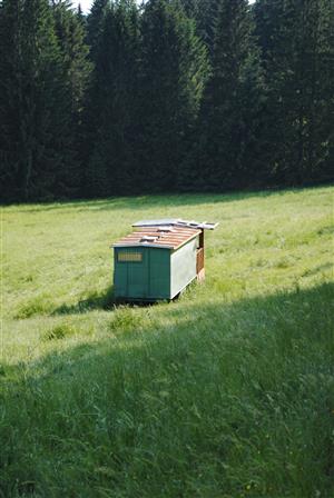 v západnej časti TML pozostatok salaša